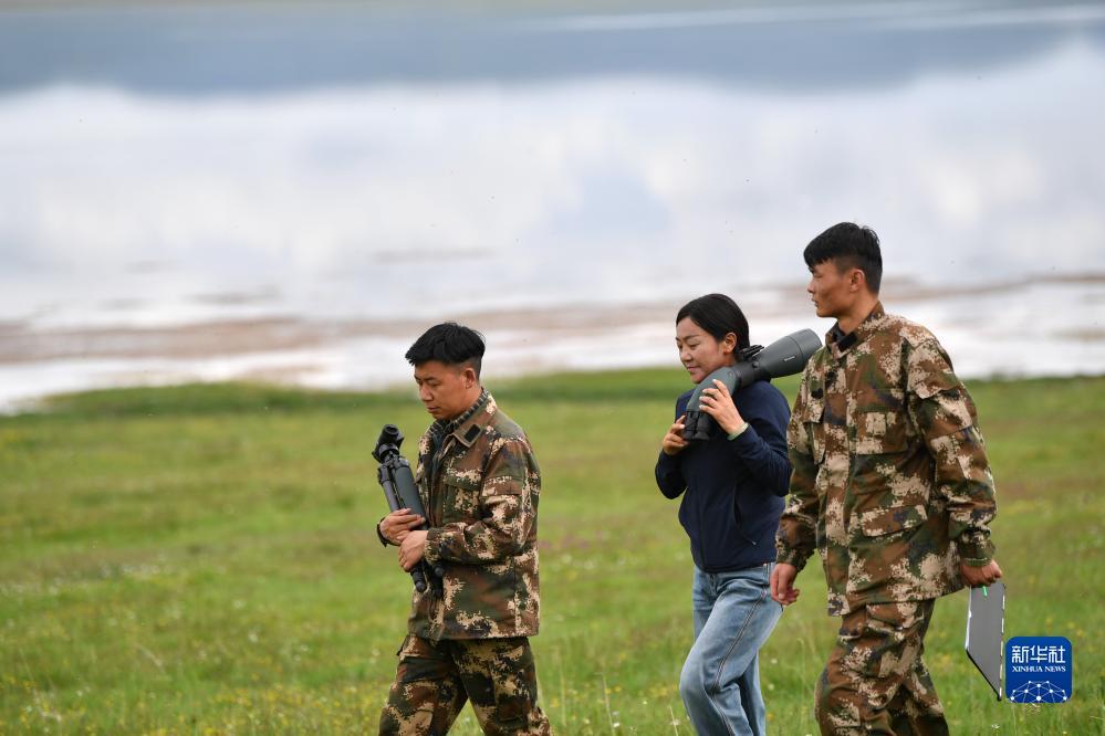 银河游戏厅上分